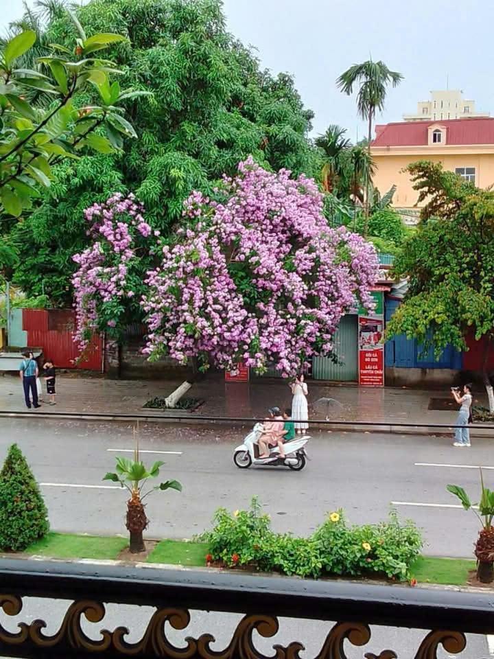 Quang Minh Hotel Ðố Sơn Dış mekan fotoğraf