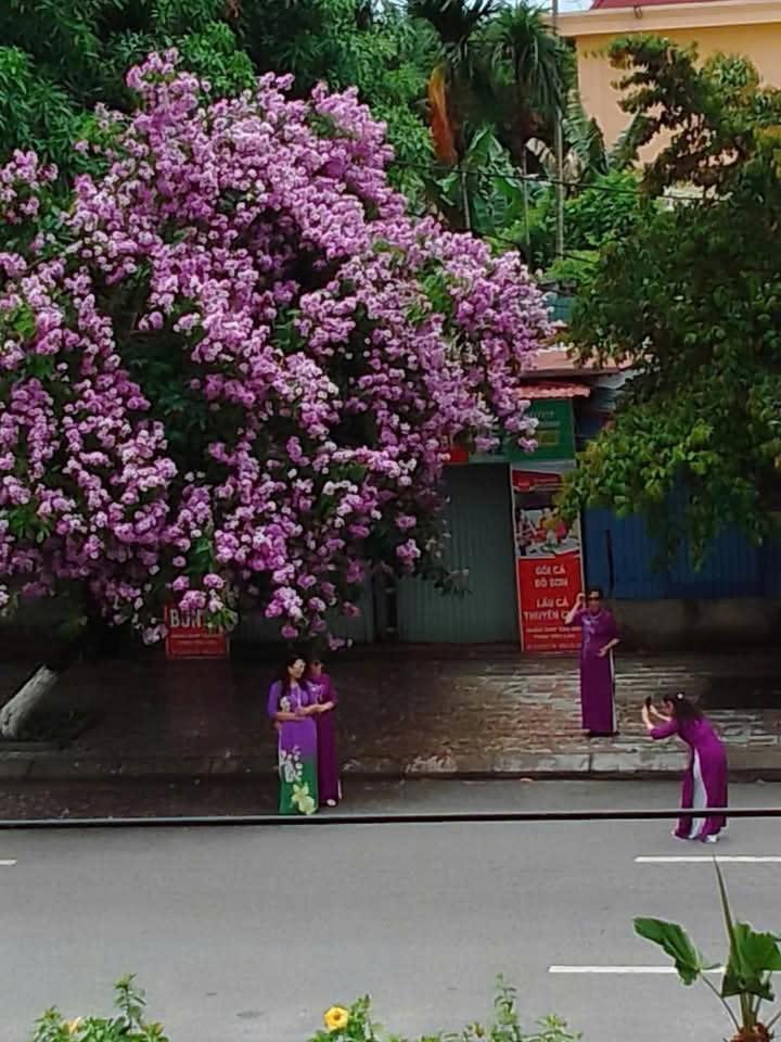 Quang Minh Hotel Ðố Sơn Dış mekan fotoğraf